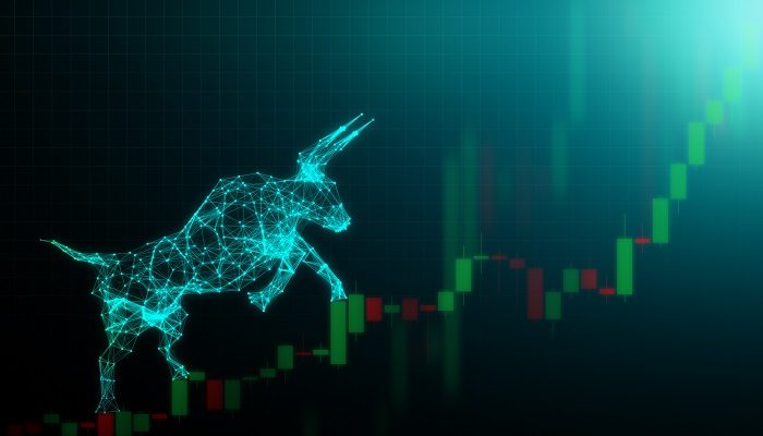 Yes, I Believe The Stock Market Still Has Further To Climb in 2019