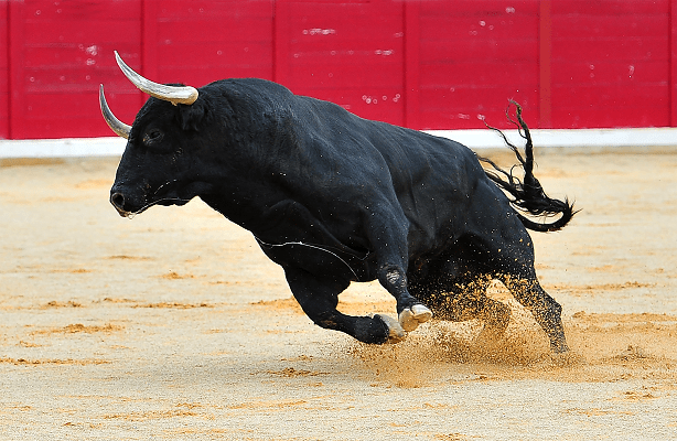 The Bull Is Back, And All-Time Highs May Not Be Far Behind