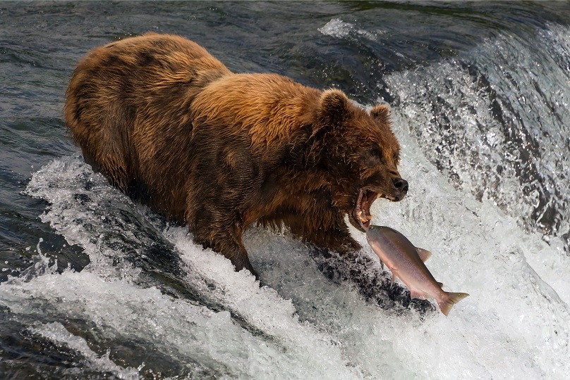 15 Reasons Why The Recent Stock Market Rally Is About To Crap Out